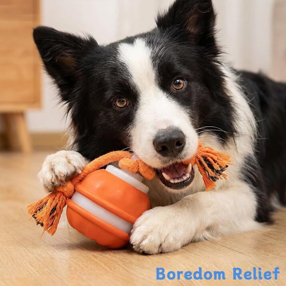 Interactive Rechargeable Dog Toy, 360° Smart Automatic Rolling Moving Toy